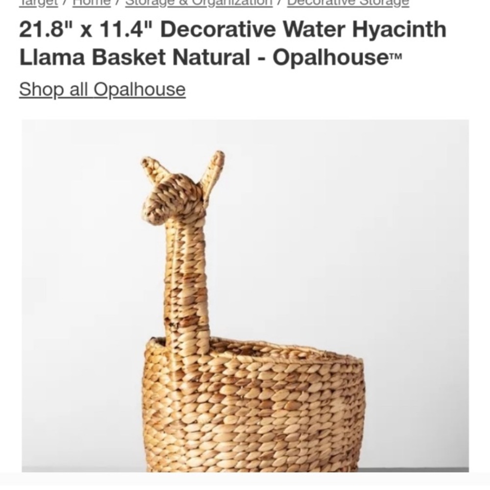 Target Opalhouse llama basket